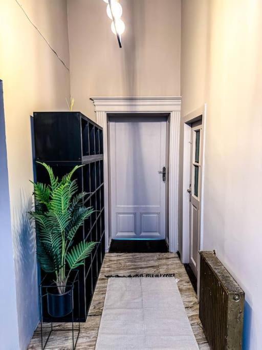 티미쇼아라 Cozy & Charming Apt. Downtown 아파트 외부 사진